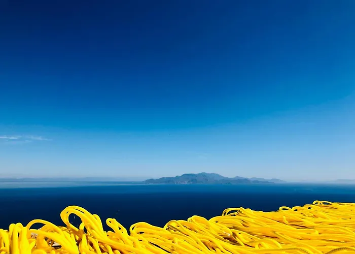 Nyaraló Sterna Artists